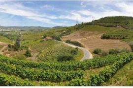 Land in Douro with PIP for T.E.R. - Agrotourism, next to the Six Senses Douro Valley hotel