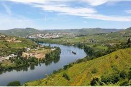 Land with house, vineyard and 40m of river front in the Douro Demarcated Region