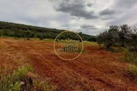 Terreno Rústico con Algarrobos y Almendros - 4860 m² de Naturaleza y Potencial