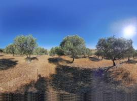 Estate with 122 hectares with Dam | ELVAS | ALENTEJO