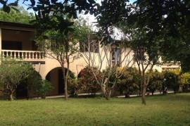 Estate For Sale on Ometepe Island