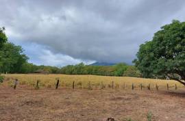 Estate For Sale on Ometepe Island
