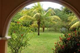 Estate For Sale on Ometepe Island