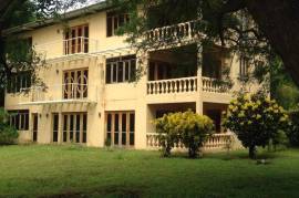 Estate For Sale on Ometepe Island