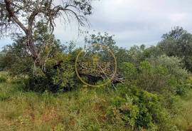 Rustic Land with Carob and Almond Trees - 7,840 m² of Nature and Potential