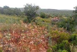Rustic Land with Carob and Almond Trees - 7,840 m² of Nature and Potential