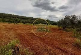 Rustic Land with Carob and Almond Trees - 4860 m² of Nature and Potential