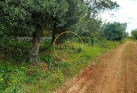 Rustic Land with Carob and Almond Trees - 4860 m² of Nature and Potential