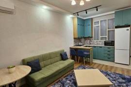 apartment for rent in Tbilisi ortachala