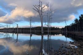 Wilderness Waters Estate – premium land on Arthurs Lake in