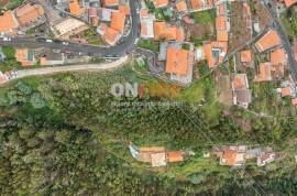 Rustic Land with Panoramic View - Funchal