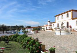 An Alentejo property  from the 19th century with 12.2 hectares