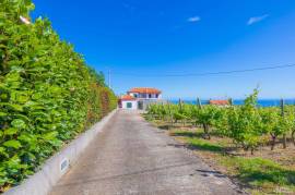 Farm with 2 villas in A L