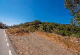 Rustic Land of 89 Hectares - Cachopo, Tavira