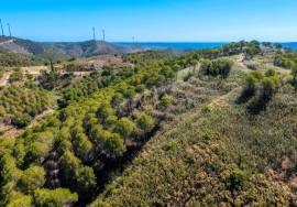 Rustic Land of 89 Hectares - Cachopo, Tavira