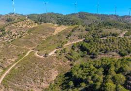 Rustic Land of 89 Hectares - Cachopo, Tavira