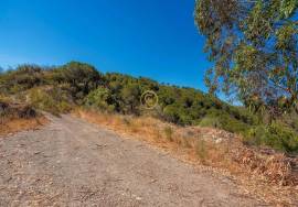 Rustic Land of 89 Hectares - Cachopo, Tavira