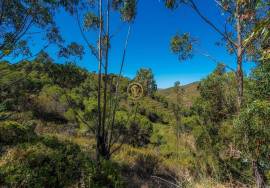 Rustic Land of 89 Hectares - Cachopo, Tavira