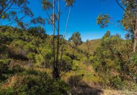 Rustic Land of 89 Hectares - Cachopo, Tavira