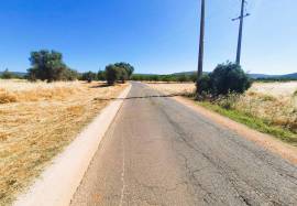 Flat Rustic Land with access by tarmac road in | Paderne | Albufeira with 1480 M2