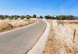 Flat Rustic Land with access by tarmac road in | Paderne | Albufeira with 1480 M2