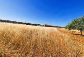 Flat Rustic Land with access by tarmac road in | Paderne | Albufeira with 1480 M2