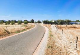 Flat Rustic Land with access by tarmac road in | Paderne | Albufeira with 1480 M2