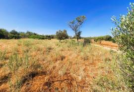 Flat Land with 2620 m2 located near Alte | Loulé with good access