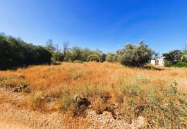 Flat Land with 2620 m2 located near Alte | Loulé with good access