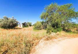 Flat Land with 2620 m2 located near Alte | Loulé with good access