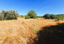 Flat Land with 2620 m2 located near Alte | Loulé with good access