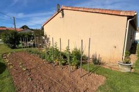 Detached Bungalow with Landscaped Garden