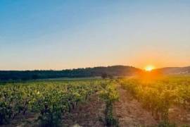 83 Var Propriété viticole de 34 hectares AOP Côtes de Provence principalement