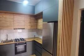 apartment for rent in Tbilisi didi dighome