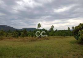Land with 54809m2