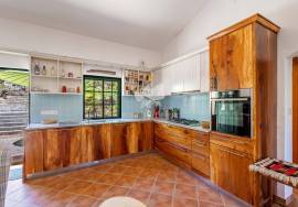 Detached 4 bedroom country house with pool and 9,400 m² of land  near Santa Catarina da Fonte do Bispo.
