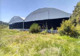 Urban Land with Greenhouses