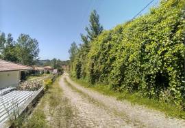 Urban Land with Greenhouses