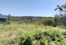 Urban Land with Greenhouses