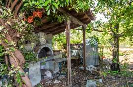 Agricultural 8200 sq.m for sale
