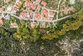 Plot 8166 sq.m for sale