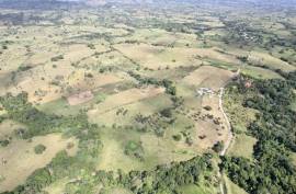 Horse And Cattle Ranch