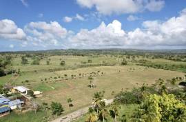 Horse And Cattle Ranch