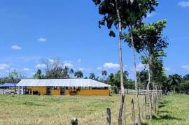 Horse And Cattle Ranch