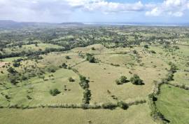 Horse And Cattle Ranch