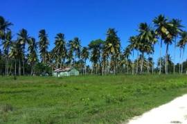 38 Acres Of Beachfront Property In Sabaneta