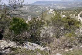 Lush Land with Stunning Views Land