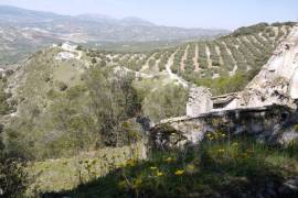 Lush Land with Stunning Views Land