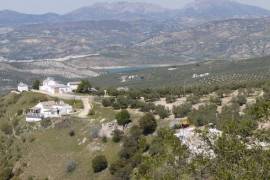 Lush Land with Stunning Views Land