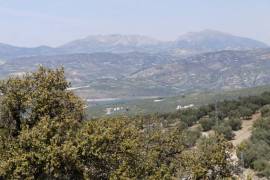 Lush Land with Stunning Views Land